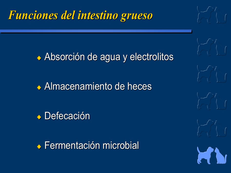 Algunos casos de trastornos gastroentericos