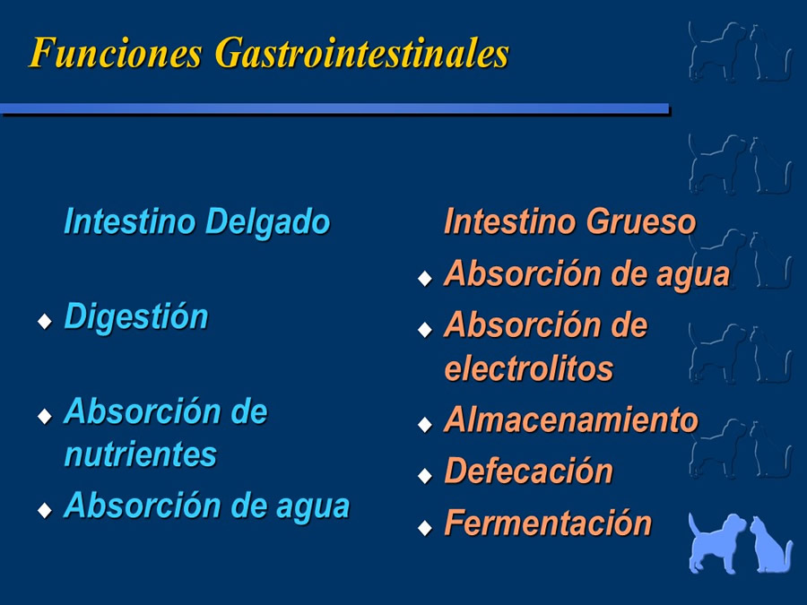 Algunos casos de trastornos gastroentericos