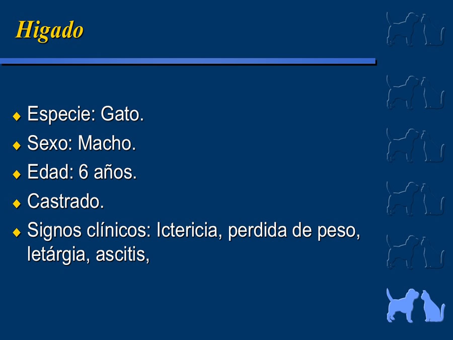 Algunos casos de trastornos gastroentericos