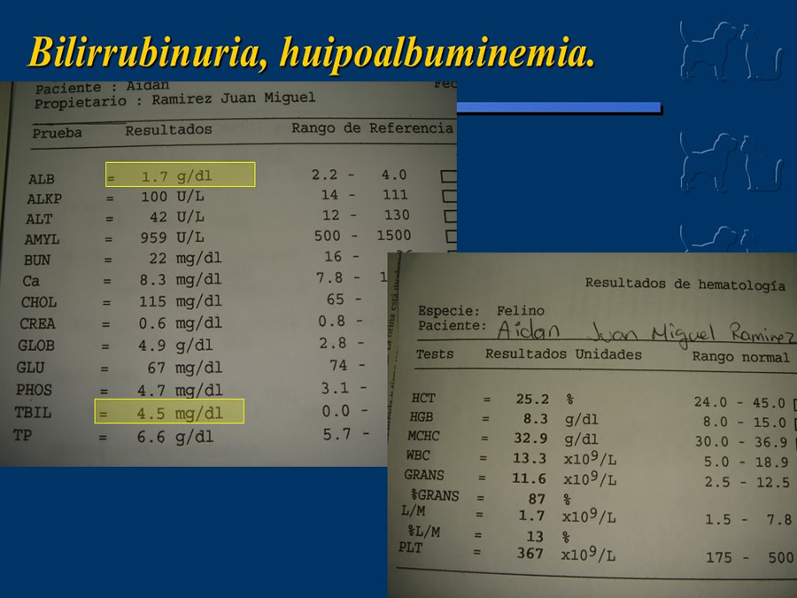 Algunos casos de trastornos gastroentericos