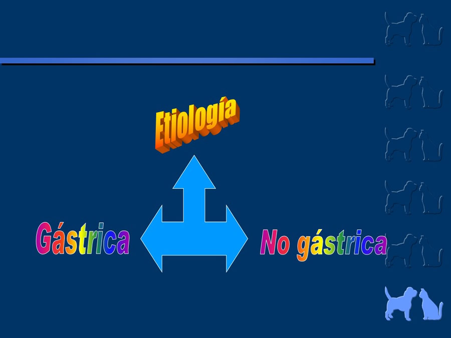 Algunos casos de trastornos gastroentericos