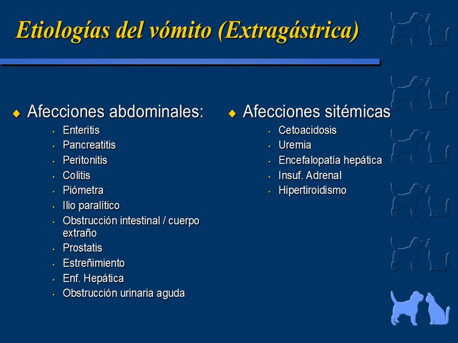 Algunos casos de trastornos gastroentericos