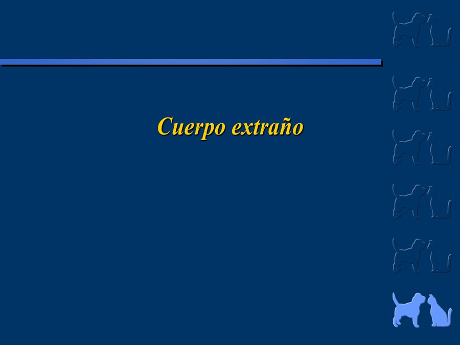 Algunos casos de trastornos gastroentericos