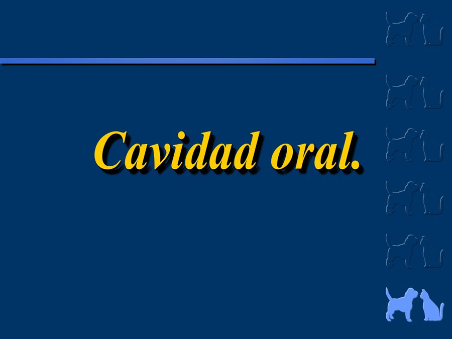 Algunos casos de trastornos gastroentericos