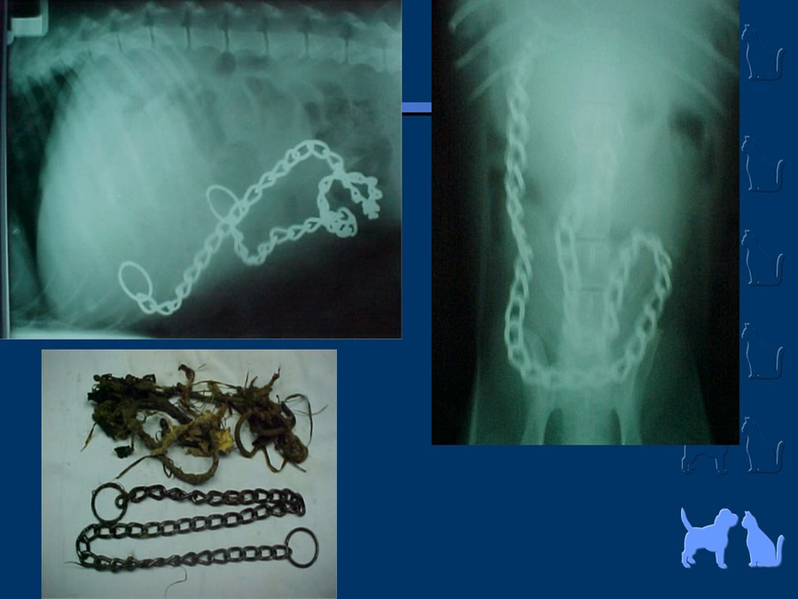 Algunos casos de trastornos gastroentericos