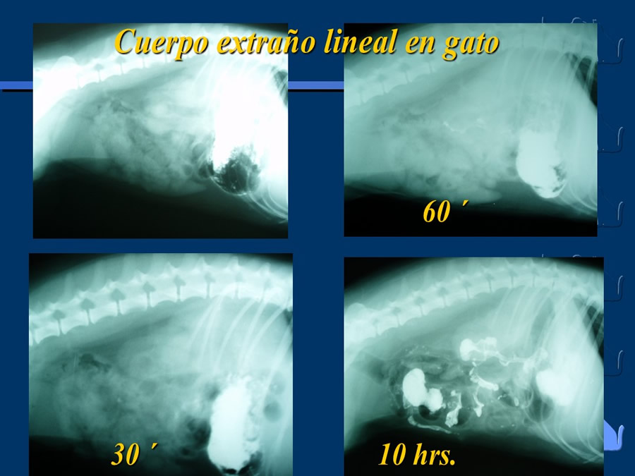 Algunos casos de trastornos gastroentericos