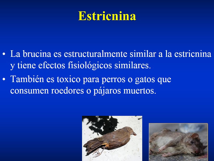 Urgencias Toxicolgicas Veterinarias