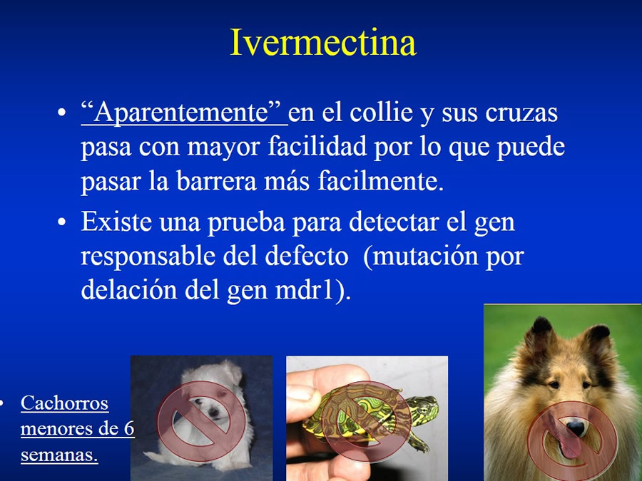 Urgencias Toxicolgicas Veterinarias