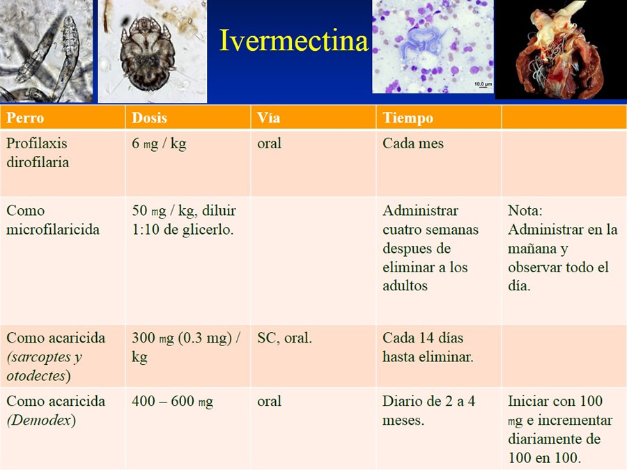 Urgencias Toxicolgicas Veterinarias