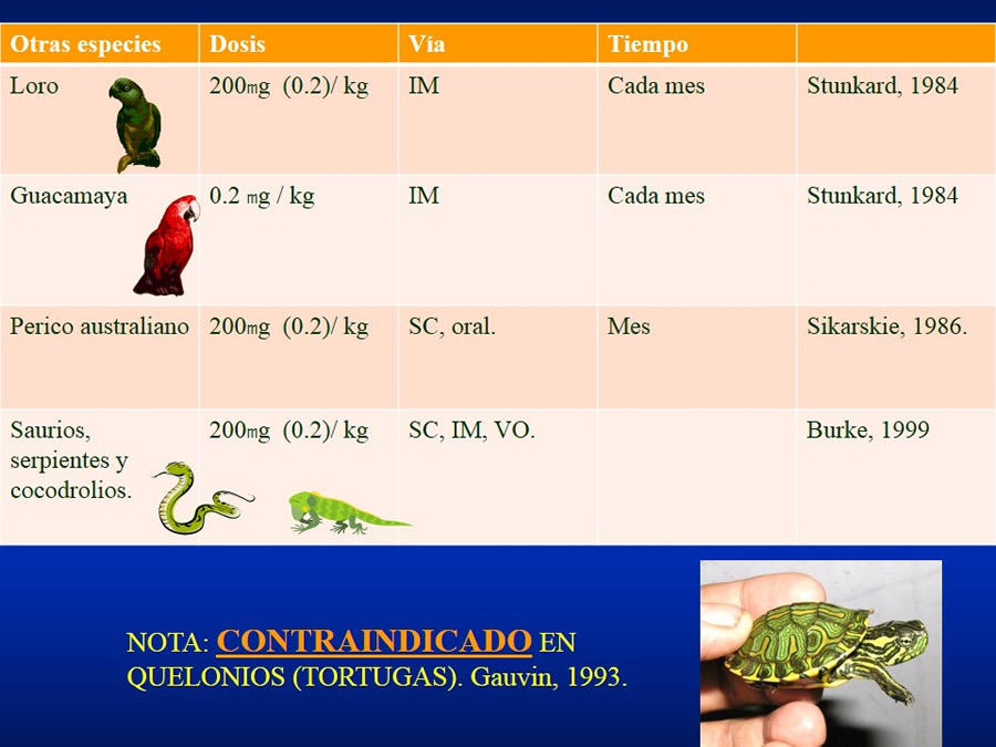 Urgencias Toxicolgicas Veterinarias