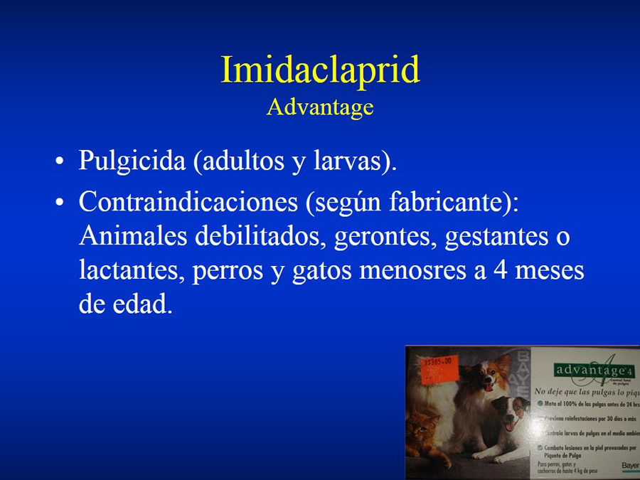 Urgencias Toxicolgicas Veterinarias