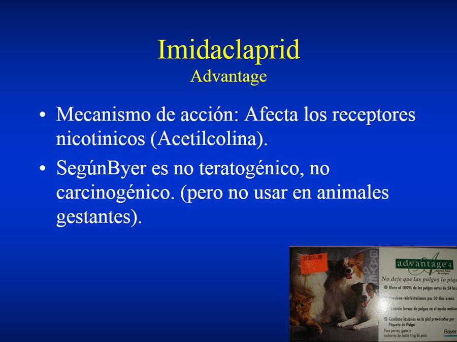 Urgencias Toxicolgicas Veterinarias