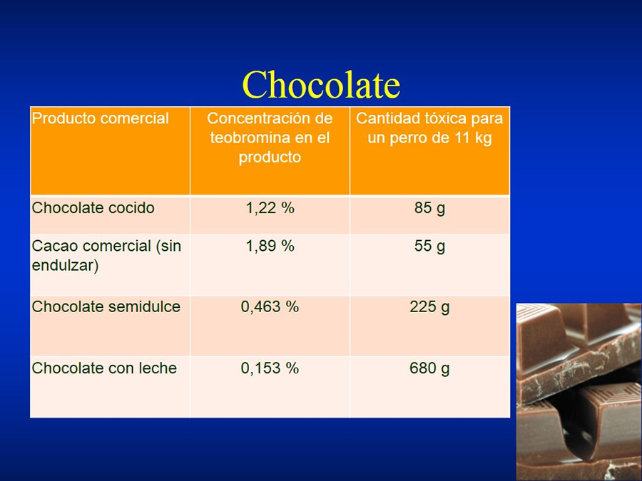 Urgencias Toxicolgicas Veterinarias