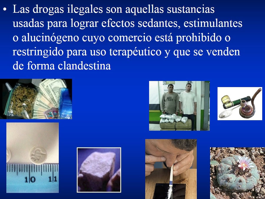 Urgencias Toxicolgicas Veterinarias