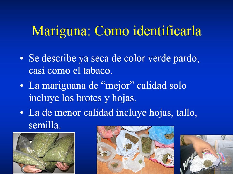 Urgencias Toxicolgicas Veterinarias