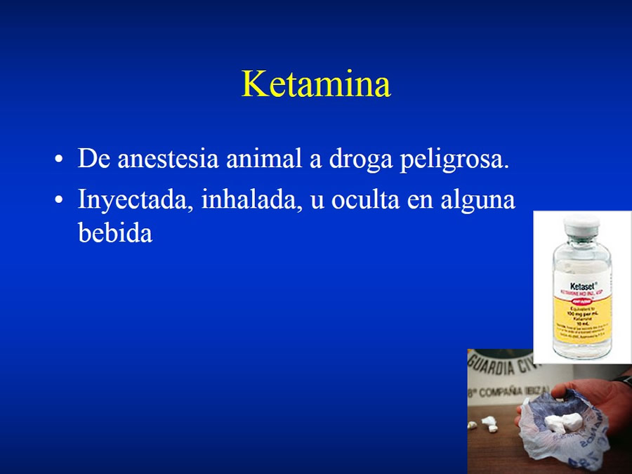 Urgencias Toxicolgicas Veterinarias