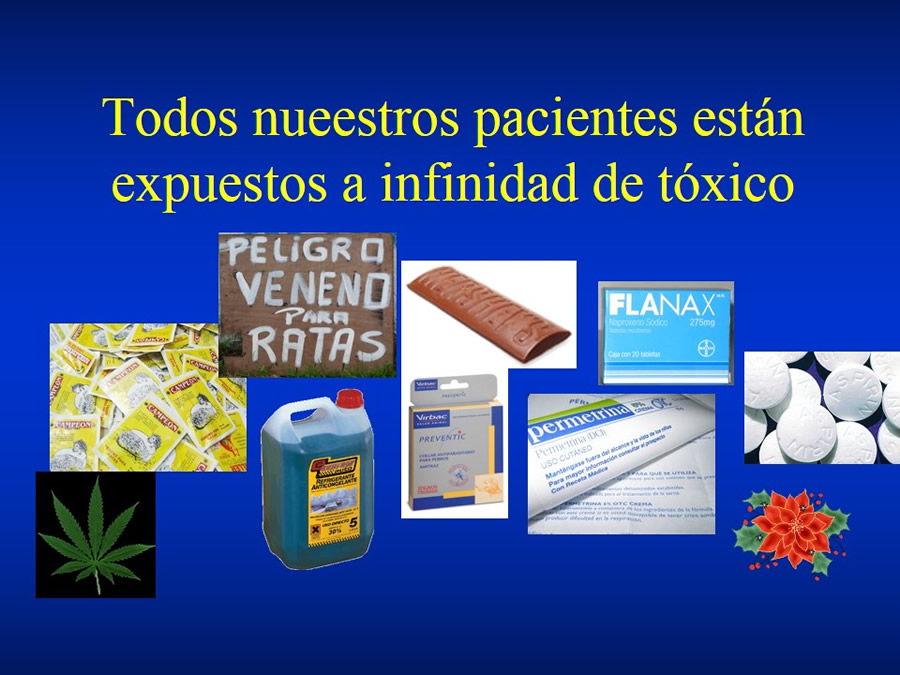 Urgencias Toxicolgicas Veterinarias