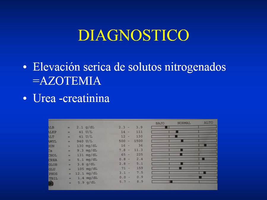 Urgencias Toxicolgicas Veterinarias