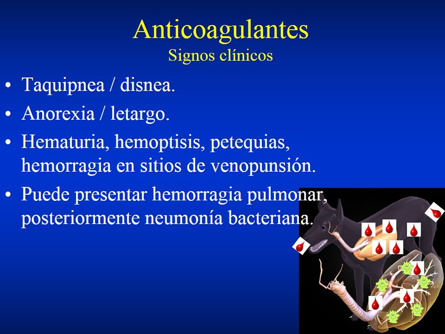 Urgencias Toxicolgicas Veterinarias