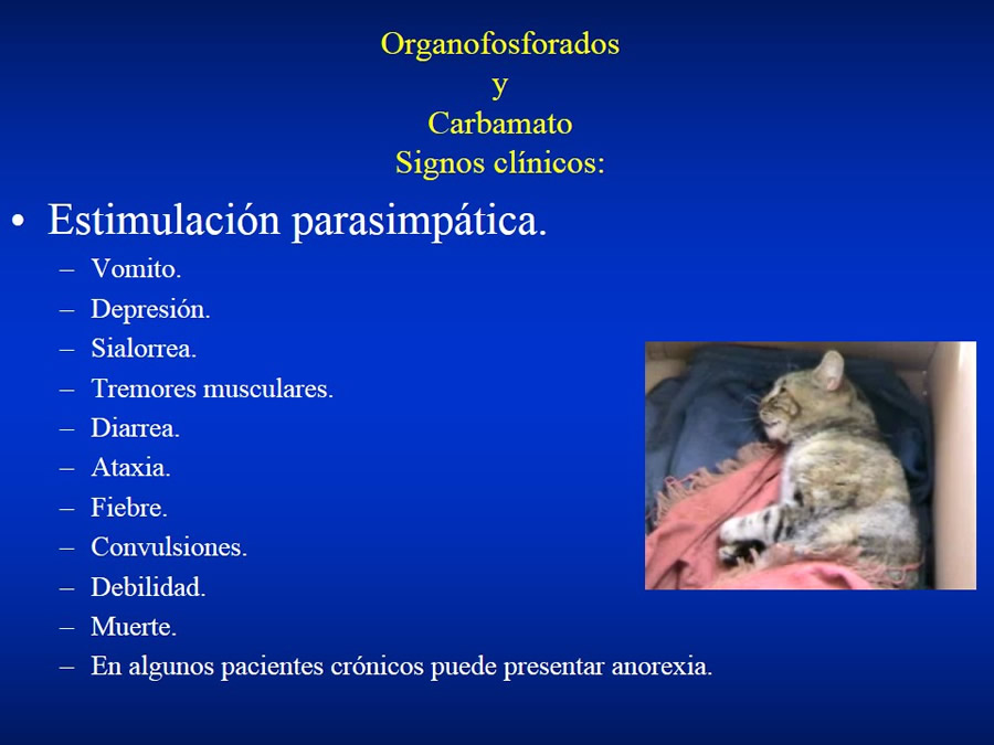 Urgencias Toxicolgicas Veterinarias