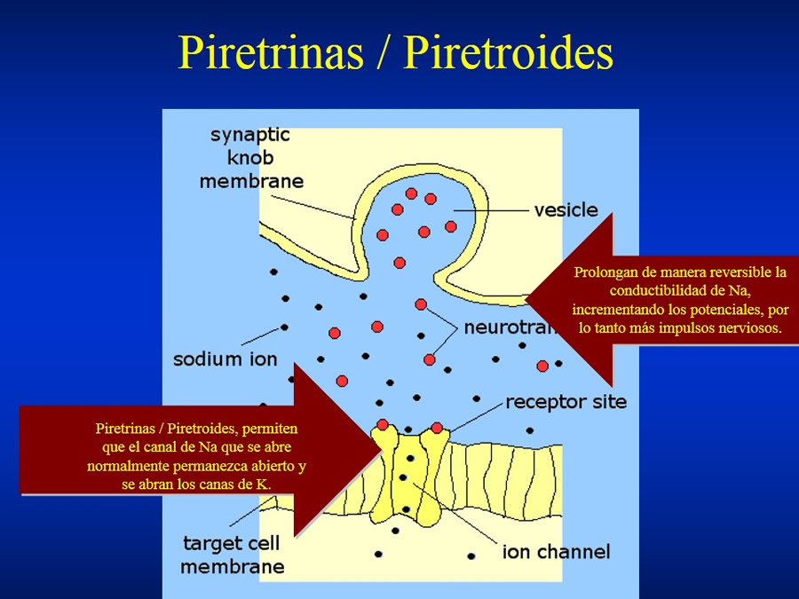 Urgencias Toxicolgicas Veterinarias