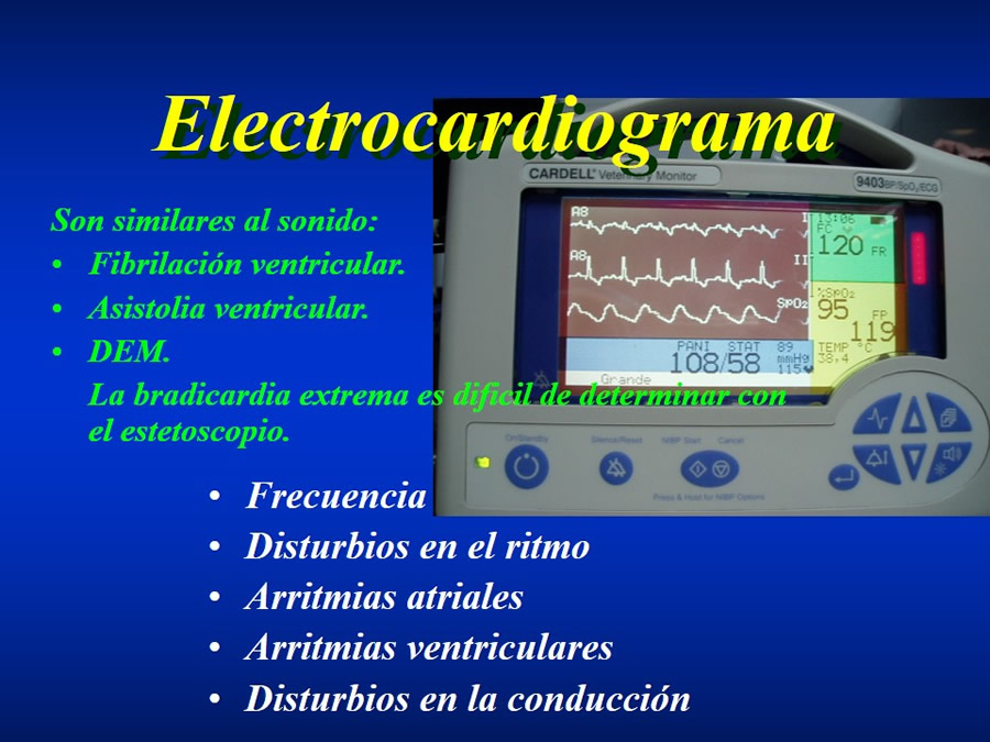 Introduccin a Urgencias Veterinarias