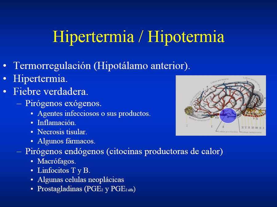 Introduccin a Urgencias Veterinarias