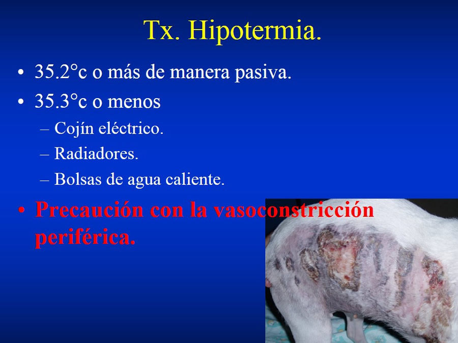 Introduccin a Urgencias Veterinarias