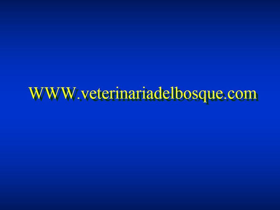 Introduccin a Urgencias Veterinarias