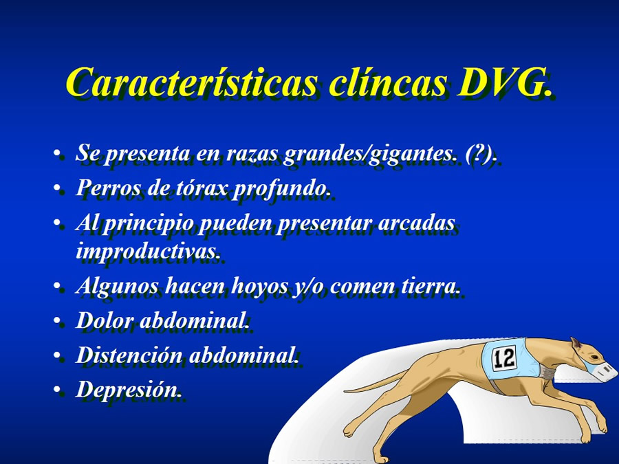 Introduccin a Urgencias Veterinarias