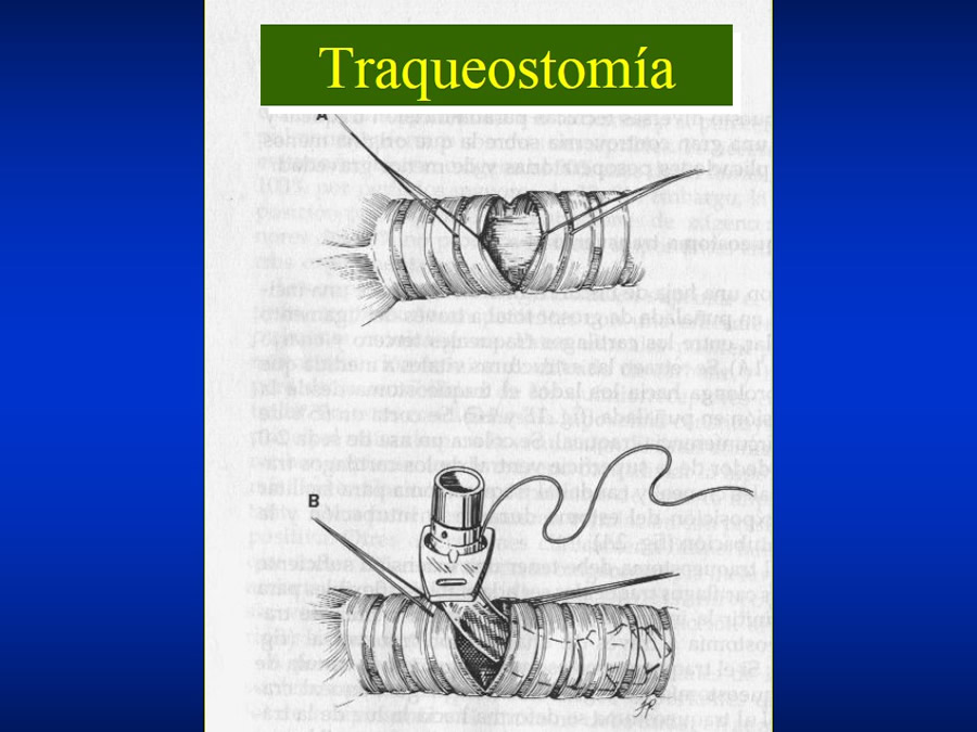 Introduccin a Urgencias Veterinarias