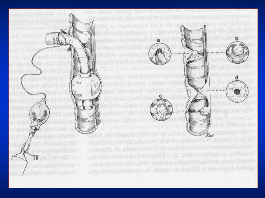 Introduccin a Urgencias Veterinarias