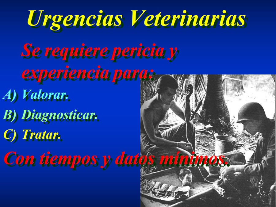 Introduccin a Urgencias Veterinarias