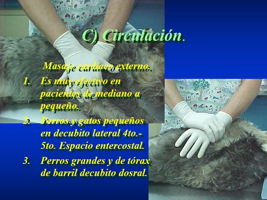 Introduccin a Urgencias Veterinarias