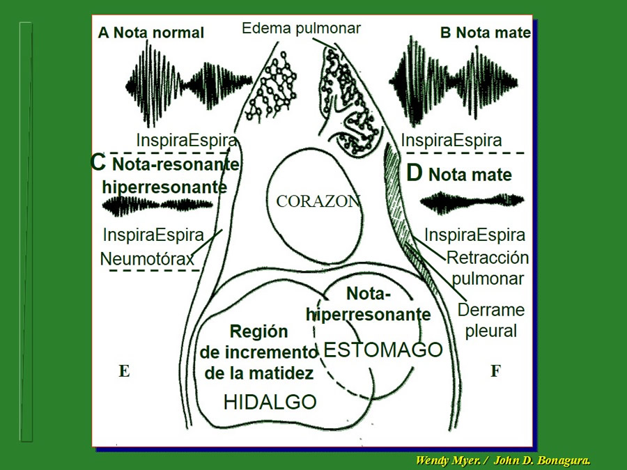 Introduccin a Urgencias Veterinarias