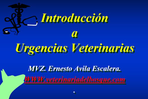 Introducción a Urgencias Veterinarias