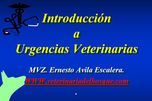 Introduccin a Urgencias Veterinarias