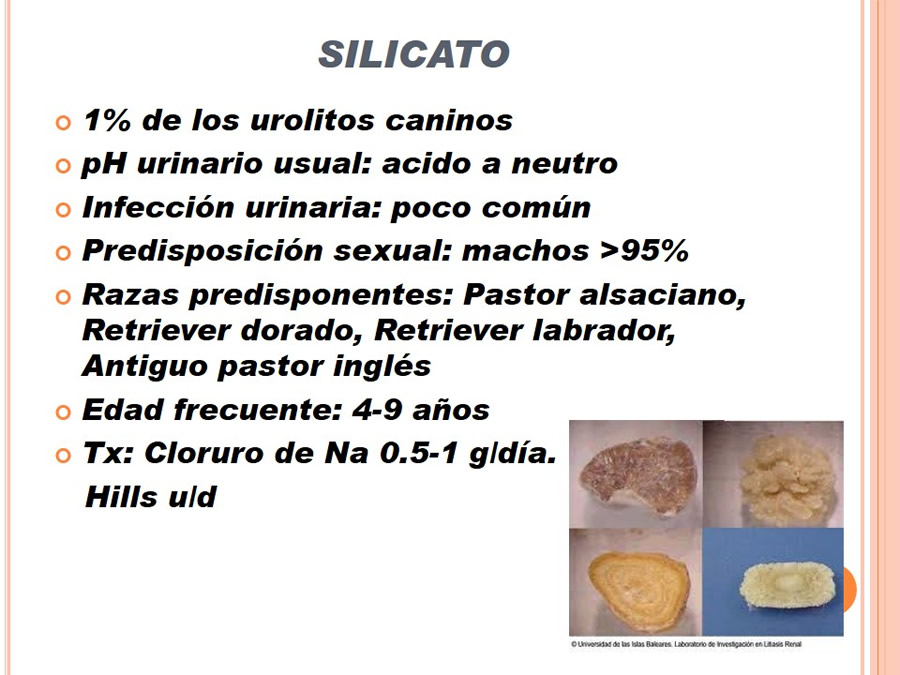 Caso Clnico, Urolitiasis