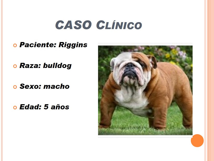 Caso Clnico, Urolitiasis