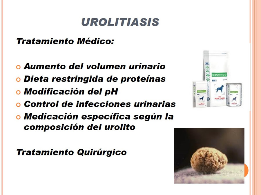 Caso Clnico, Urolitiasis