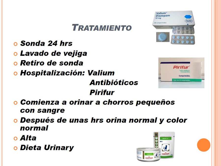 Caso Clnico, Urolitiasis