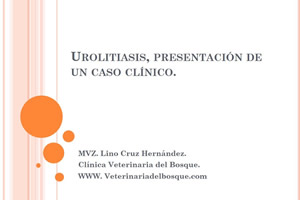 Caso Clnico, Urolitiasis