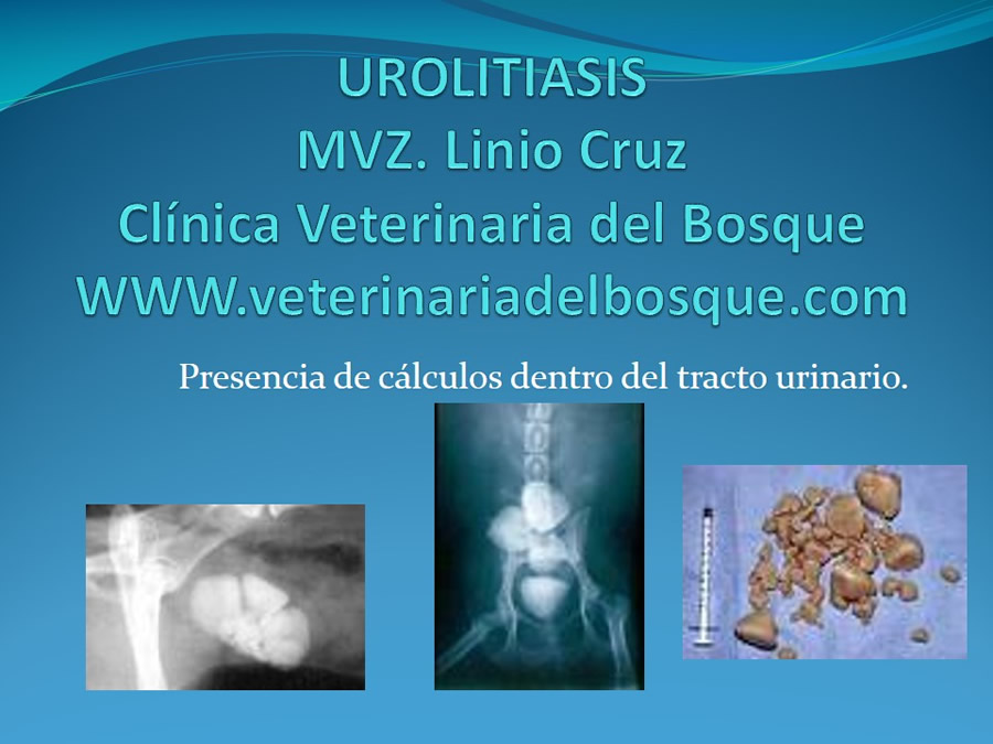 Urolitiasis