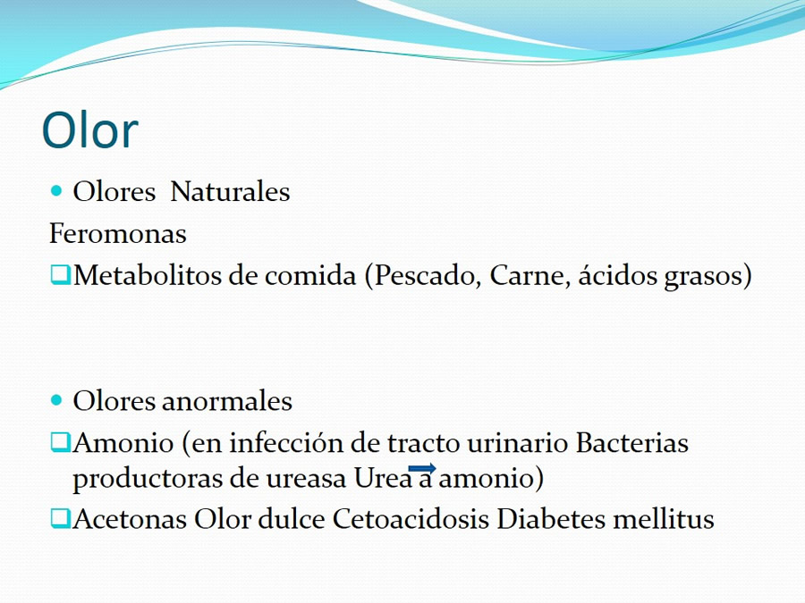 Urolitiasis