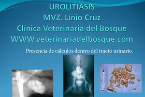 Urolitiasis