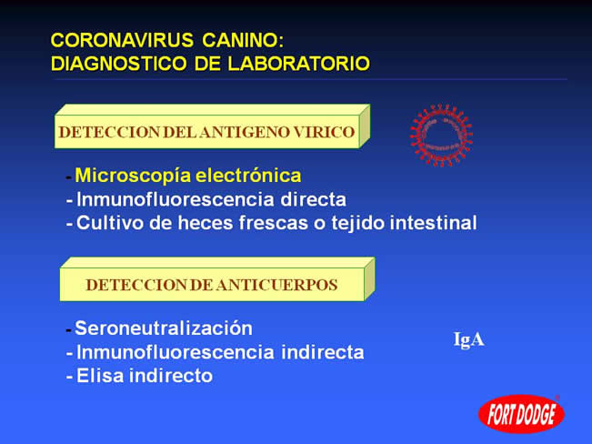 Conceptos en Vacunacin