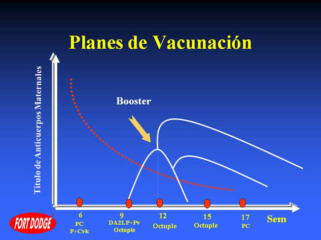 Conceptos en Vacunacin