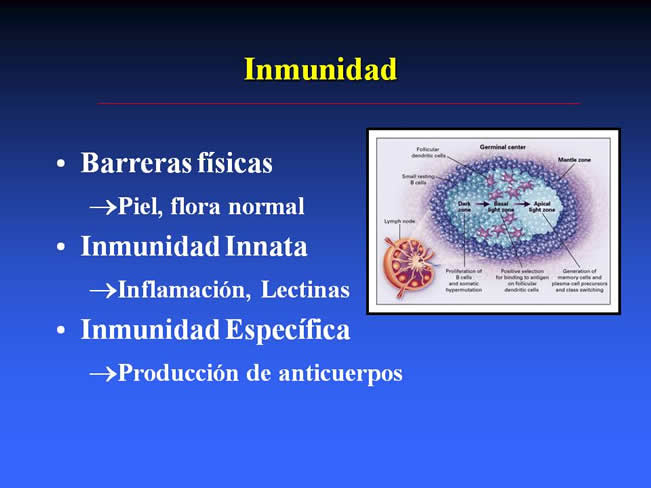 Conceptos en Vacunacin