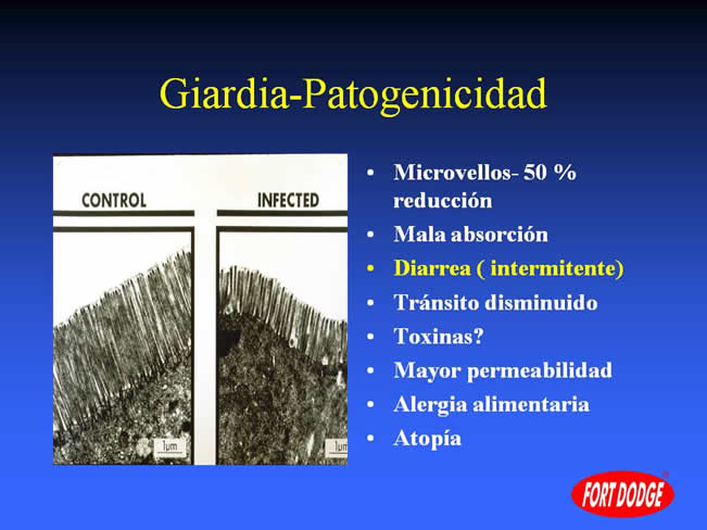 Conceptos en Vacunacin