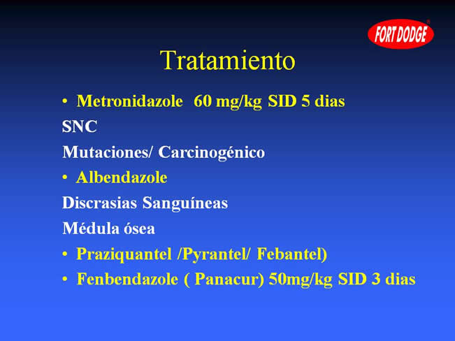 Conceptos en Vacunacin